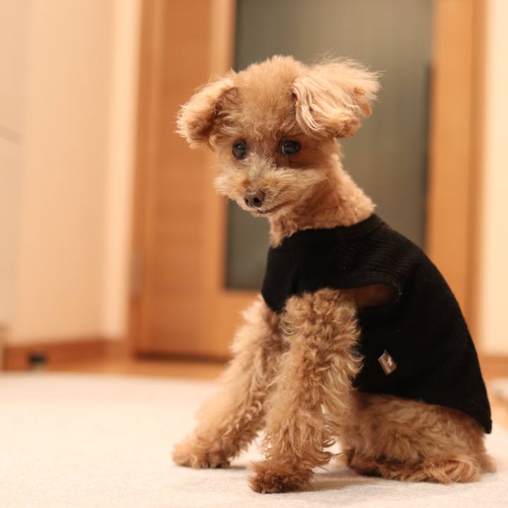 Cf9be68c 1404 4529 b4c5 a6a449076e81 1578263615882