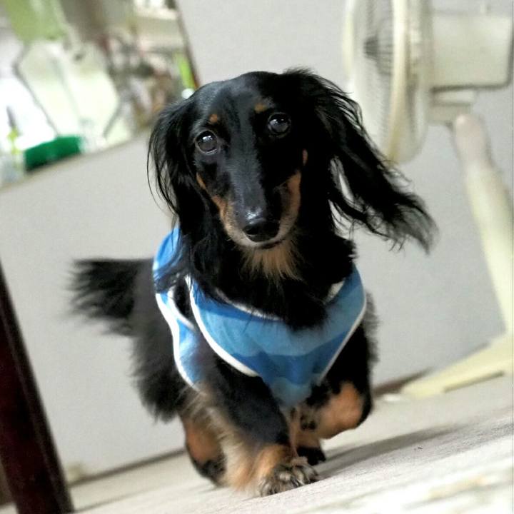 Cf9bfe4e c35f 4b4e b941 ced319d37534 1535874678227