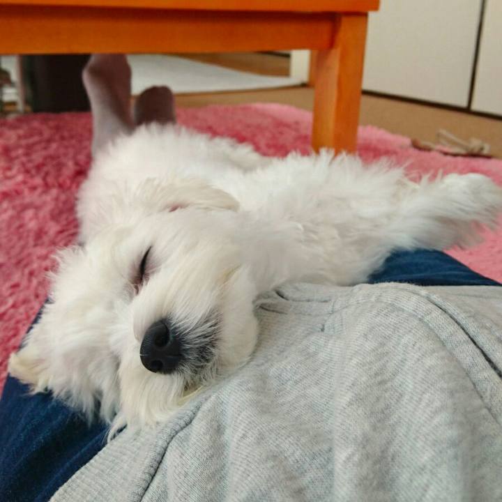 Cf9c2353 5e80 4cc7 81e2 26ce024eb8c1 1510801007847