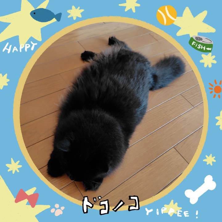 Cf9c27d7 6e91 43df bca2 5f69159cd405 1720998384484