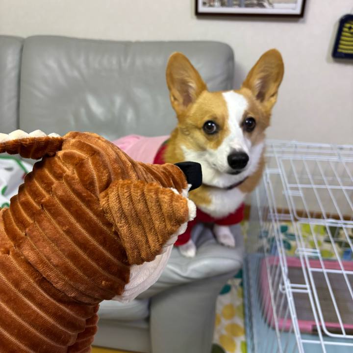 Cf9c344a e63d 415b b3ca a39757171424 1766325859425