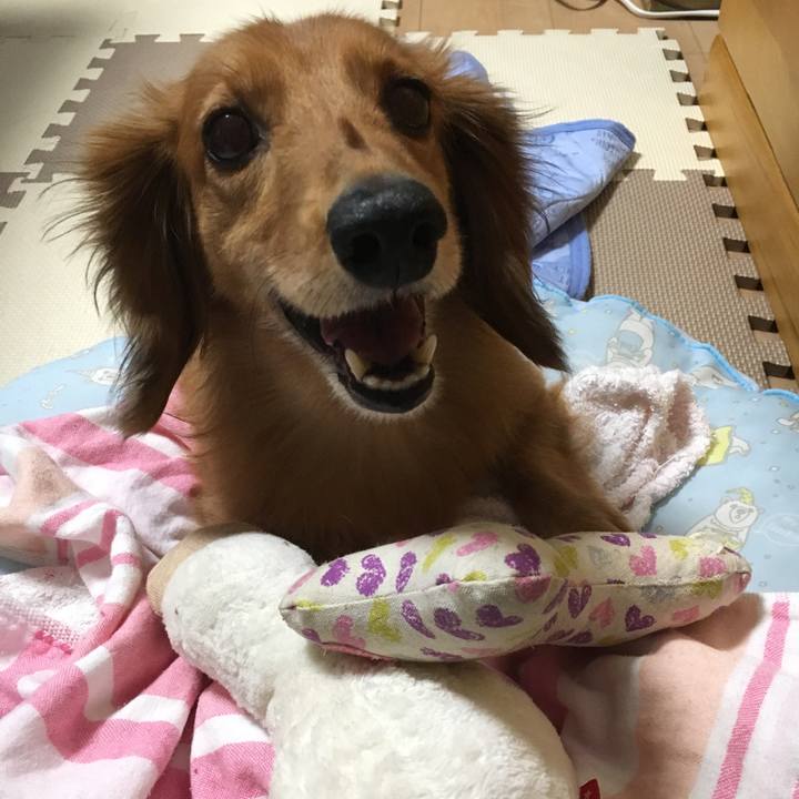 Cf9c3835 64b7 4150 beb2 bf1bbe848ae3 1508106969958