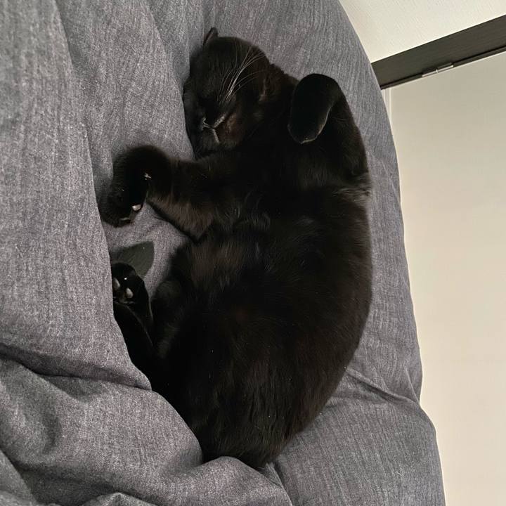 Cf9c9579 9775 4a2c 9650 851130760d44 1702340478057