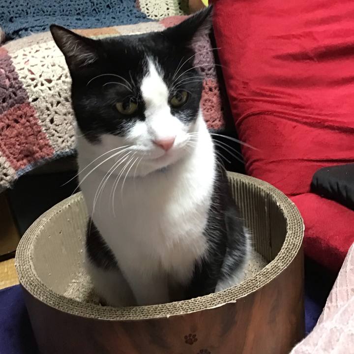 Cf9cd445 948d 4f87 a23b e2c99544233c 1704275559666