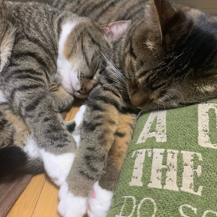 Cf9d1b5b 0744 4d80 9e47 3e5c90a30996 1578620133488