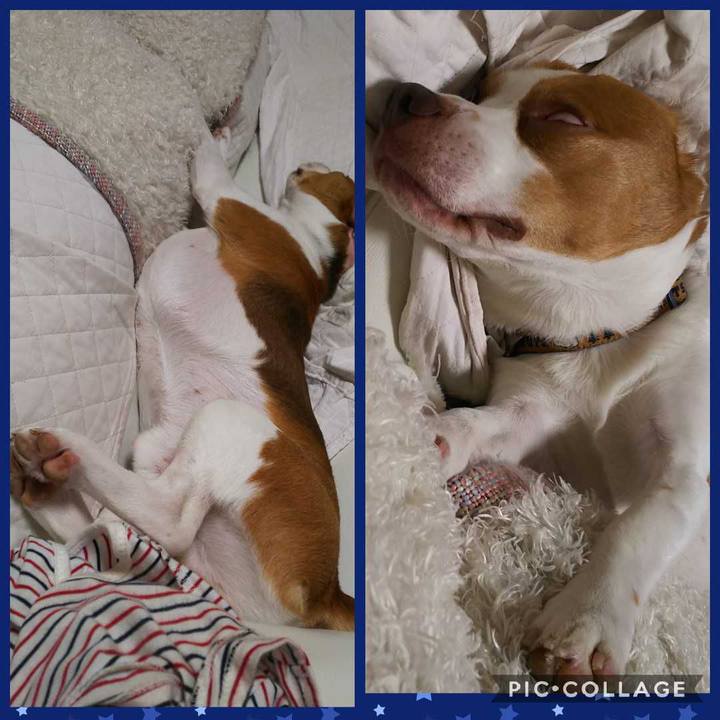 Cf9d1ee8 accb 45dc b711 99904e427643 1567781879126