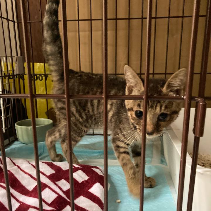 Cf9dbde0 7cc5 4dfc 8c5a 910c9028bfff 1659743035892