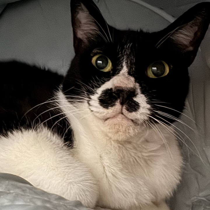 Cf9dc41f a599 429e b58c cc37203a90c9 1751707092913