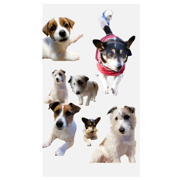 Cf9e1e88 86a8 47f3 b616 12f03450ca1b 1664246757040