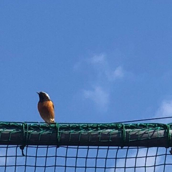 Cf9e513b bc91 433c bceb 3b5ba9e15eff 1541135247363