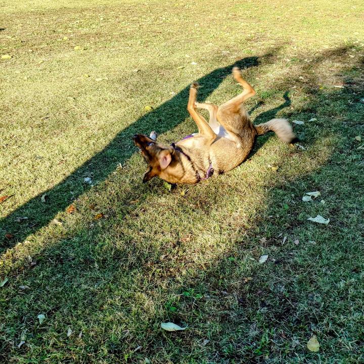 Cf9e5922 9d7f 487d 829d a772bb08e97f 1731116337246