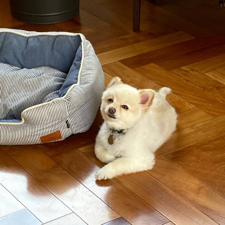 Cf9e6e6f 2c2d 409b bc4e 3c0bb4d186b4 1627256597967