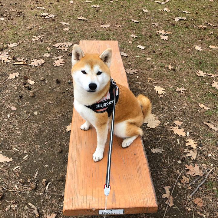 Cf9e7ce0 dfe1 4f3d 93c0 c8c7ddeeee76 1585792391927