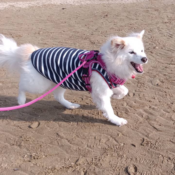 Cf9e903b b495 4c51 b6c9 44828bfbc481 1737708114257