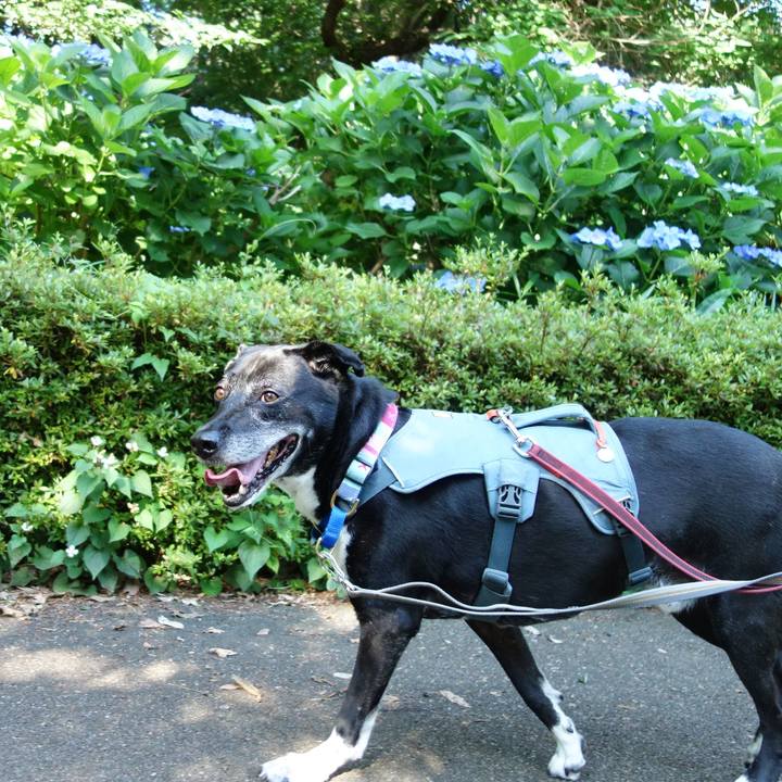 Cf9e9d38 cf63 4e2b bfbb 5860af7ac404 1750118274746