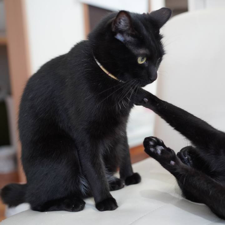 Cf9e9d43 5102 486e 88fe 2722f24451b8 1618756786296