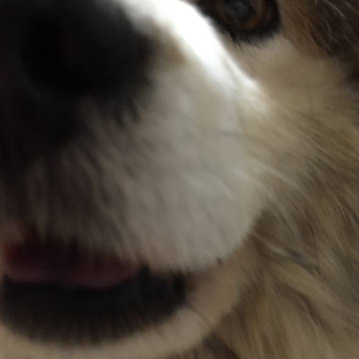 Cf9eab0f fe7c 4aa0 b321 c83c8a763875 1626710224413