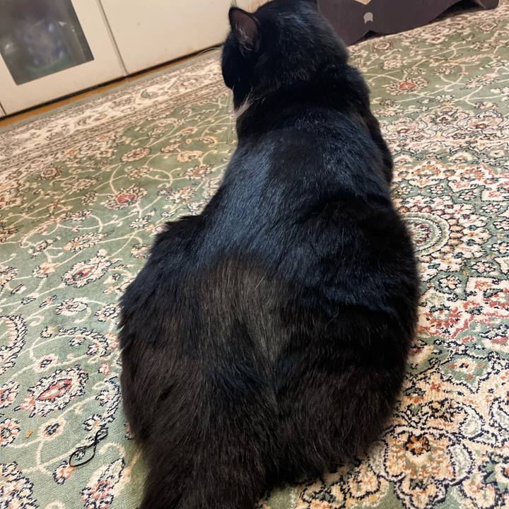 Cf9ee6a1 b23d 4c81 8f2a a43ed1e26da8 1751884247218