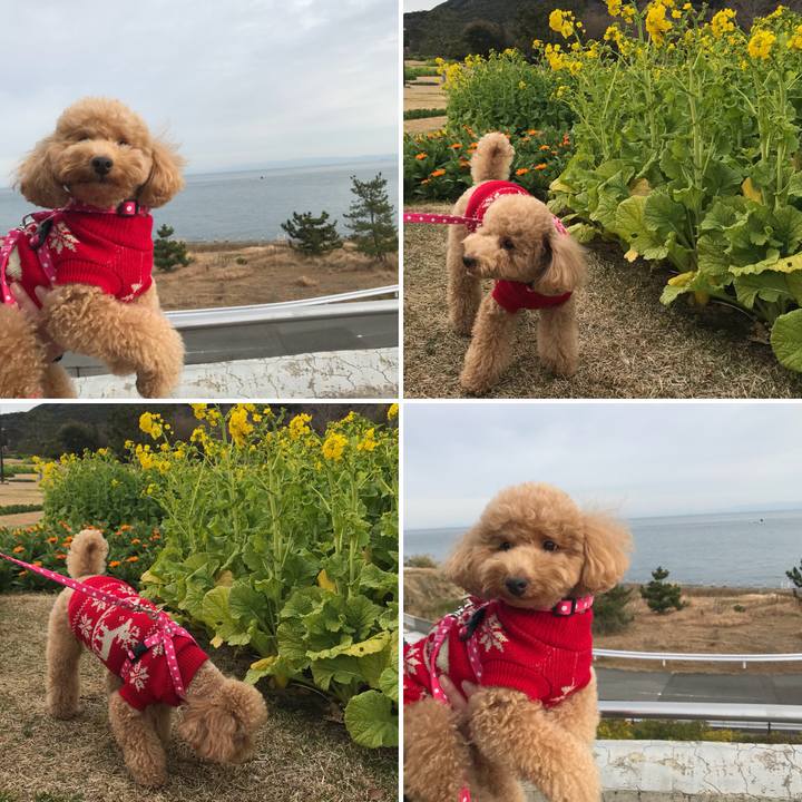 Cf9eed52 e787 46d1 b924 93a666a0518f 1515307535780