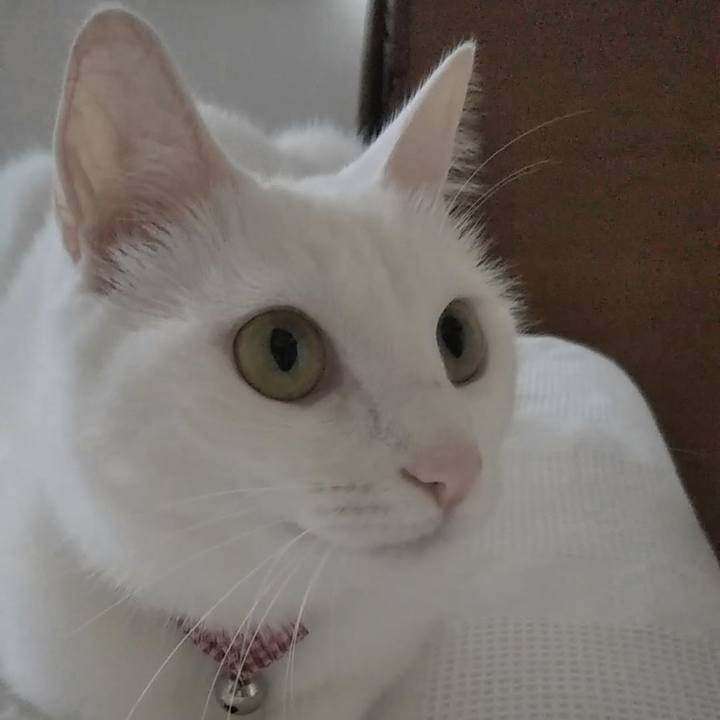 Cf9f060d 11b0 4b9c acf4 b389b0027674 1626214523283