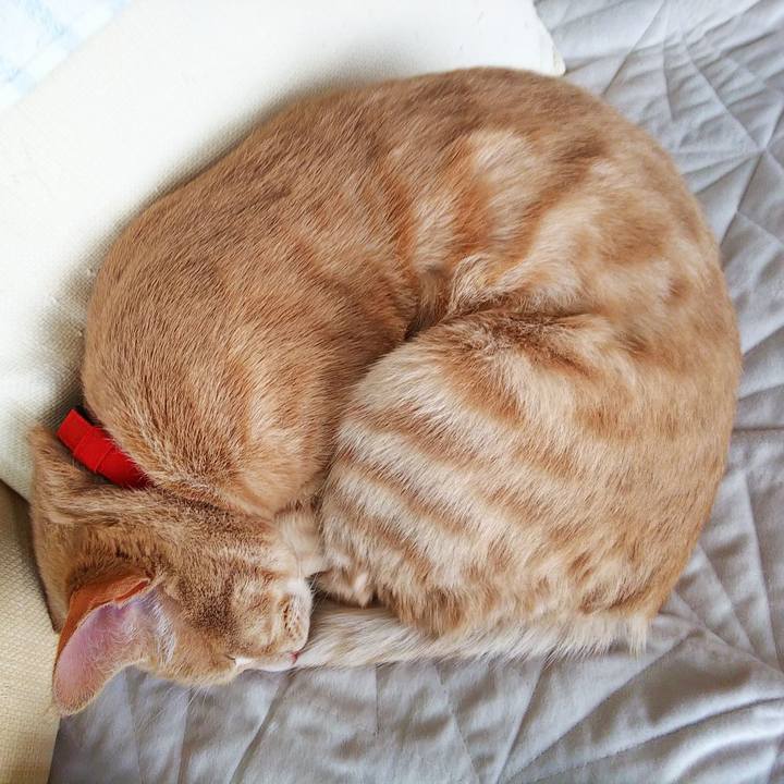 Cf9f1065 5926 4c87 a79b 73f19edb2ff2 1554535240006