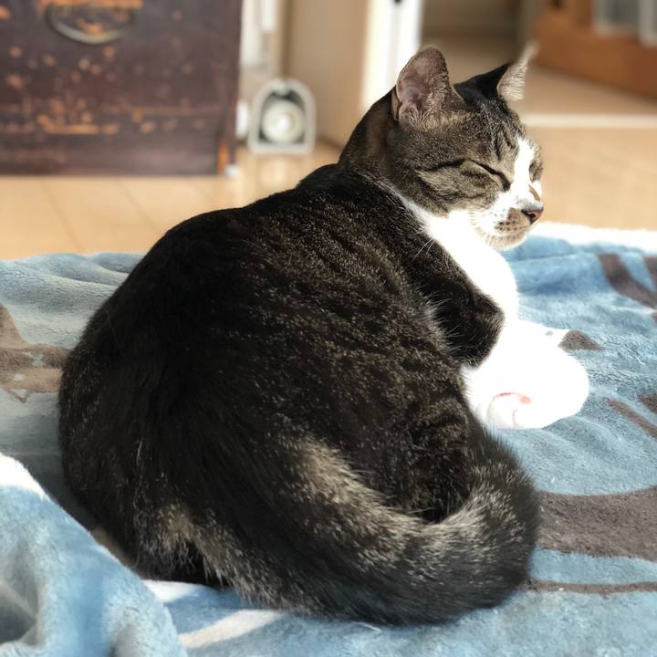 Cf9f33f7 3dc9 43c4 afed 9546beec5c4a 1539048168512