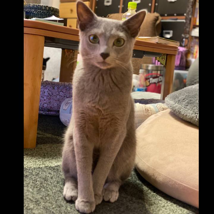 Cf9f6ae2 b830 4920 a427 6e0f9e87fea4 1621768378445