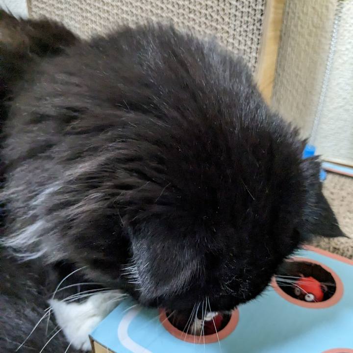 Cf9f8401 8b8c 4a26 b722 0e69842455cc 1682593034658