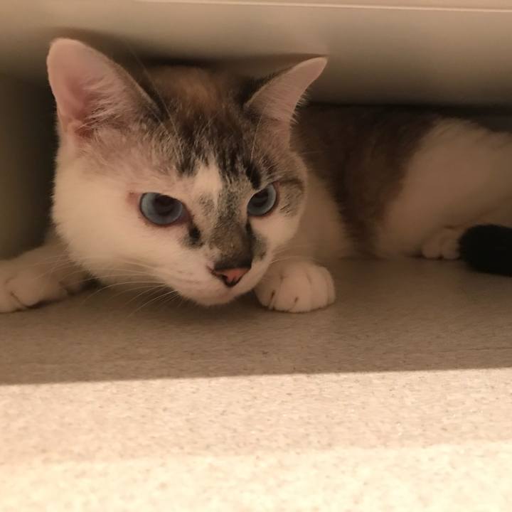 Cf9fc04d 4d94 4478 a27b bfc69a15634a 1520980929501