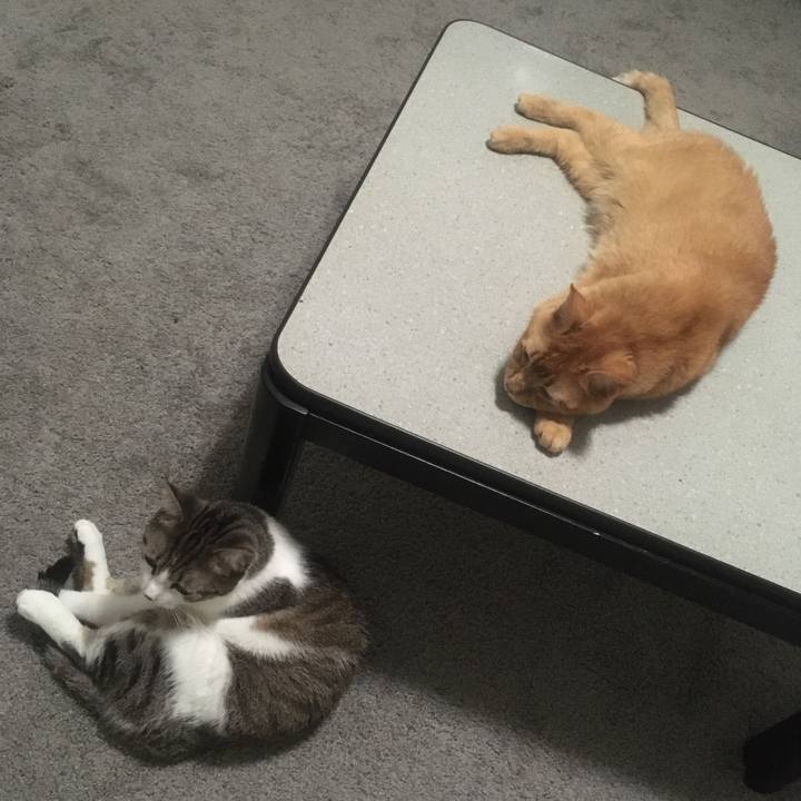 Cf9fc17a 78a4 4d56 bca6 3fff5d735e1a 1656115285095