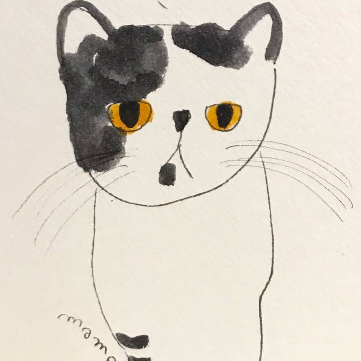 Cf9fdca7 02bf 44c1 b7ed c251f6d6afd8 1564242404163