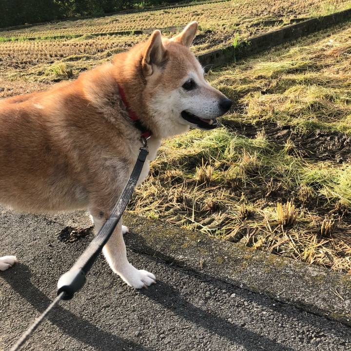 Cf9fdcf0 5ffb 4908 b795 665fbc1e786c 1536790895894