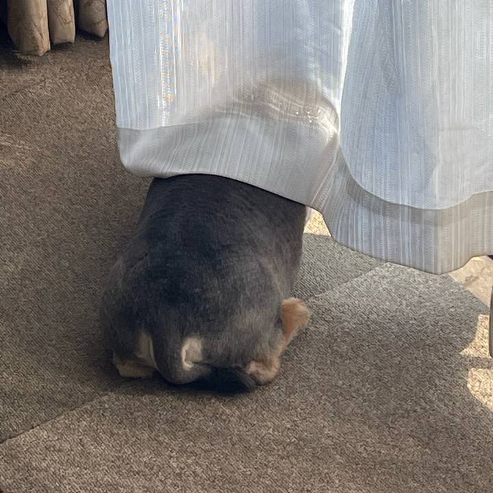 Cfa04922 6b9d 4c80 b24f e0911924acff 1655504792273