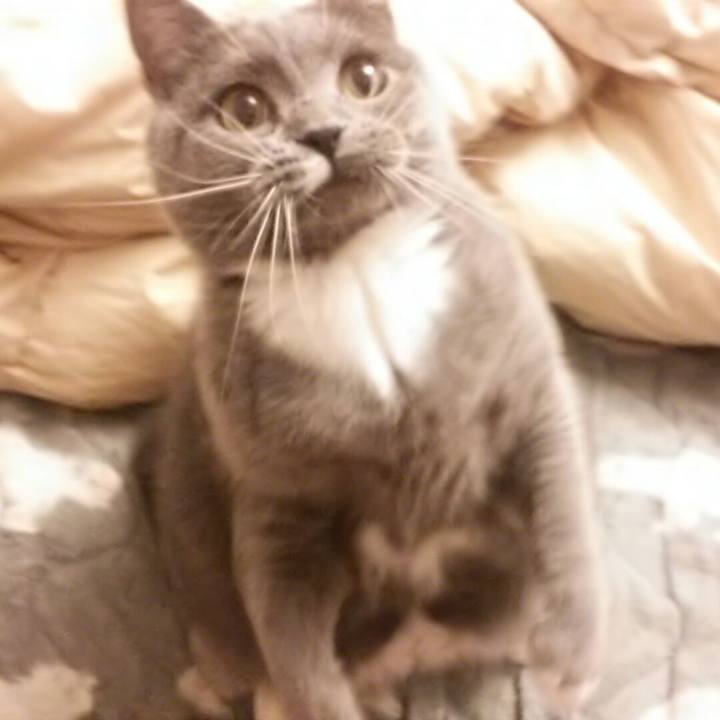 Cfa051a2 1889 4f10 86c2 2e0970755f4c 1593610837490