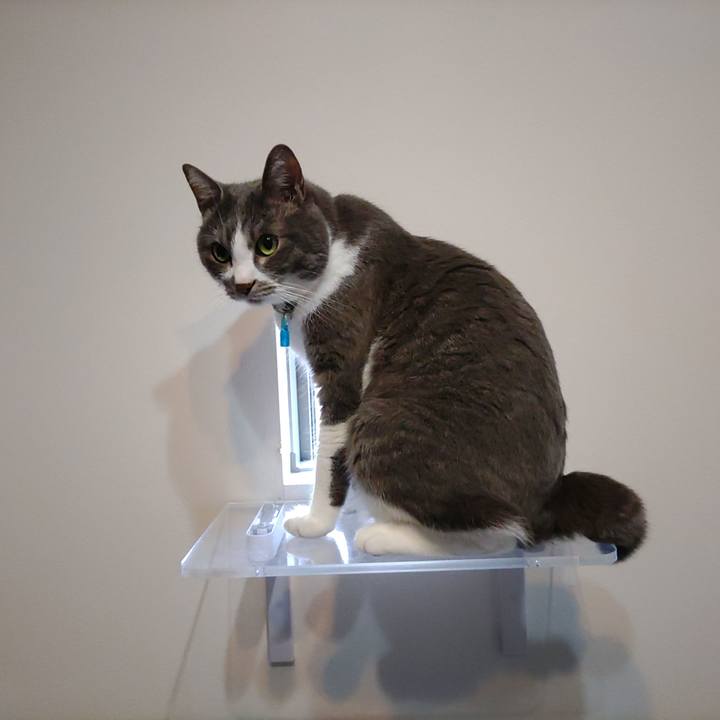 Cfa08d0d e5a8 4a55 8ec9 11faa4824b2a 1680819316341