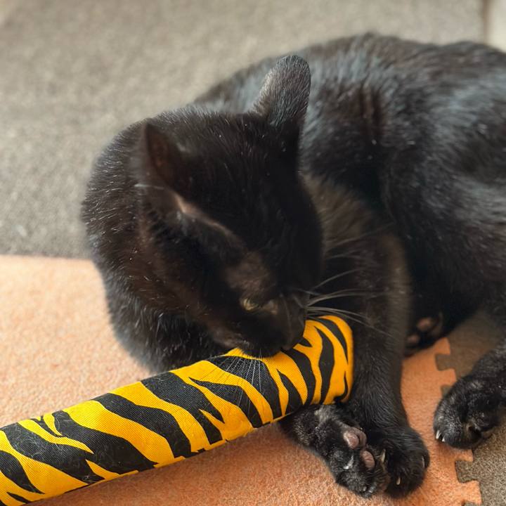 Cfa08d48 2895 4b47 bbc8 601df2d4f05d 1704939265124