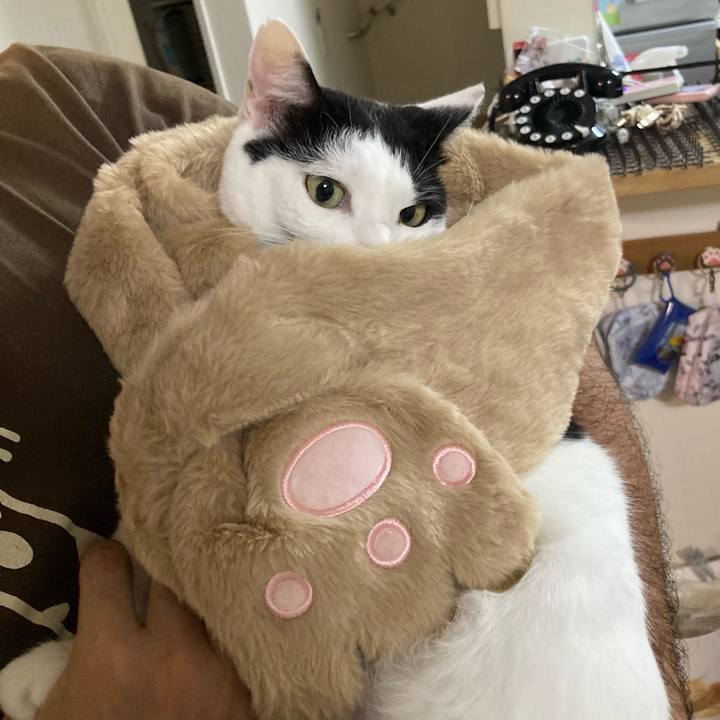 Cfa09081 1c5d 4217 a61c 28c6bd82921c 1757421096621