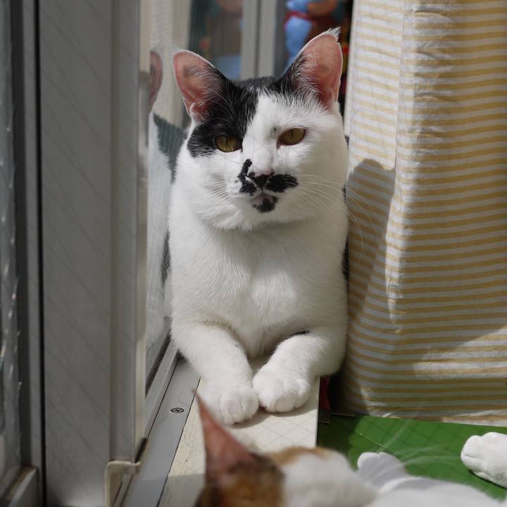 Cfa0a4d3 e992 4e57 b6cc a1a8bb401bd4 1758629029370