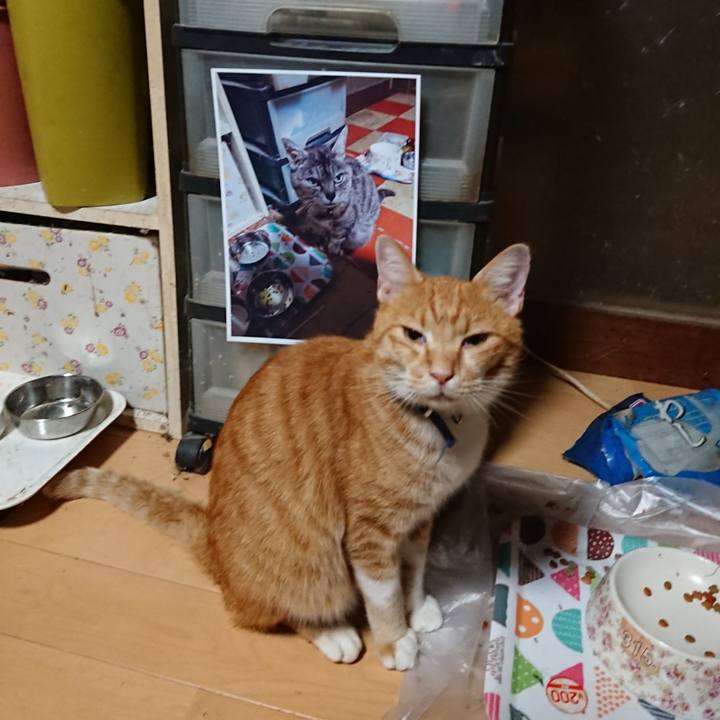 Cfa0bf3c a7fc 4618 84b2 188f28313f5f 1599681594795