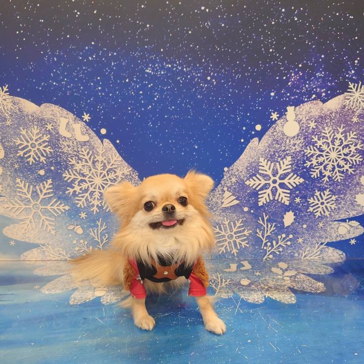 Cfa0de95 174b 482c b7ab 477eef5151a4 1765764780597