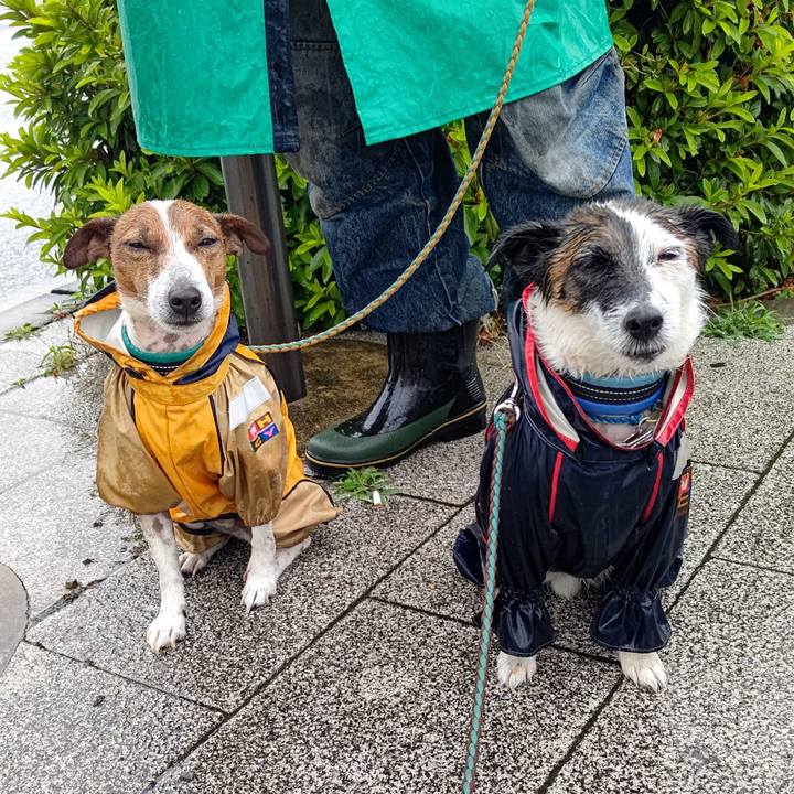 Cfa0ef61 56e3 423a b878 63bb6b45ca43 1717111697066