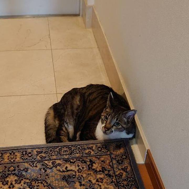 Cfa1296a 8f1c 4e15 af04 4181c791676a 1720043956115