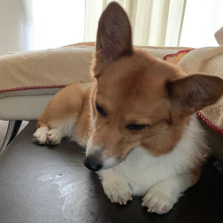 Cfa158be bceb 4858 92d1 7a8be8ede87d 1561433919486