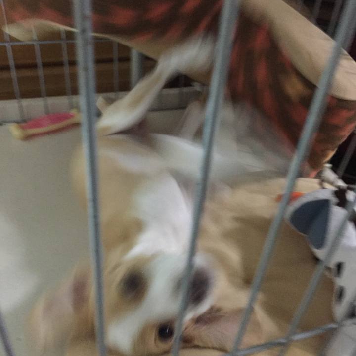 Cfa16d37 13eb 41fc bfda 1e856aa4b8b5 1549942059233