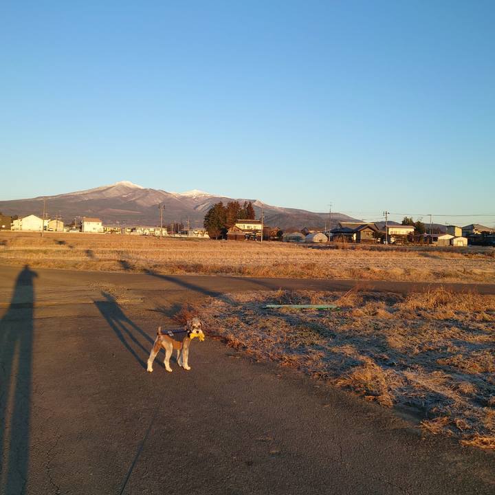 Cfa16e7e 4076 47a3 9bc0 fe65441f8a24 1766098975047