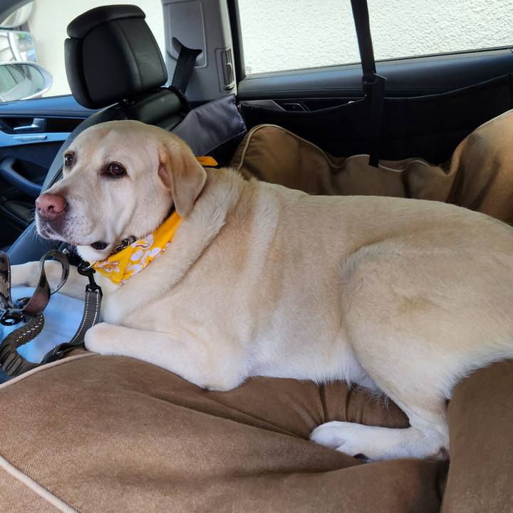 Cfa183ca 7202 4182 a748 9ddad597c194 1725248741915