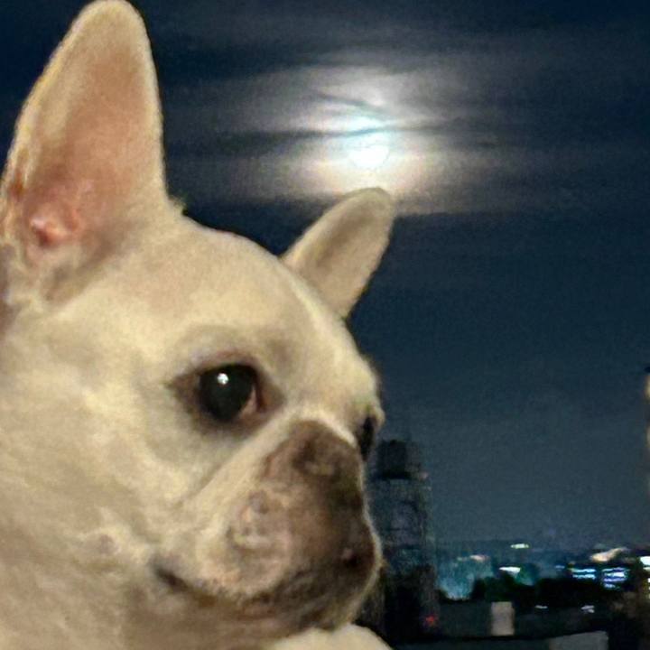 Cfa1b743 0715 4057 b963 26f177aec5cb 1693480859567