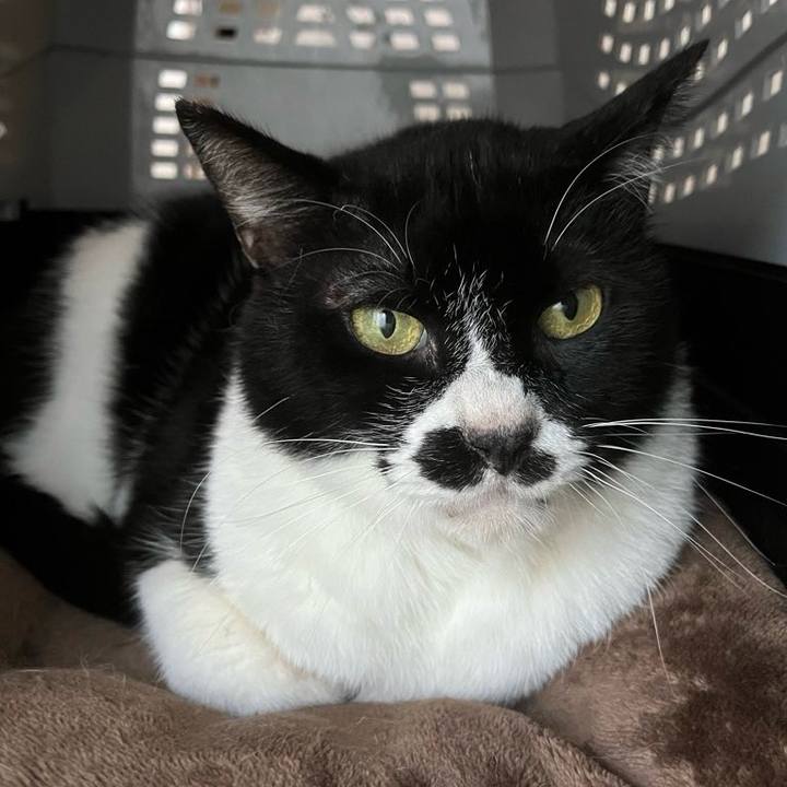 Cfa22fba bf5b 4272 95c9 970ebf8a417e 1712702133765