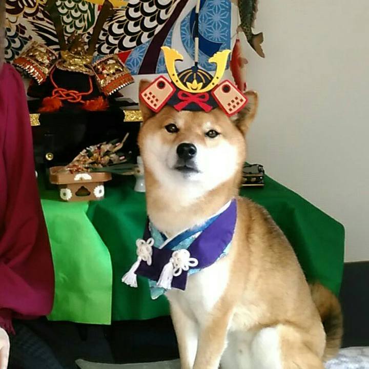 Cfa232aa fb46 4820 882a 11e475092cdb 1557060636942