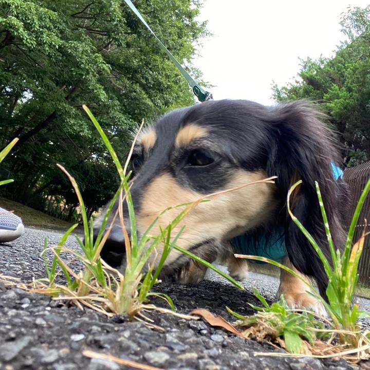 Cfa23fa1 d2be 4650 80a7 02915cee7437 1721862052822